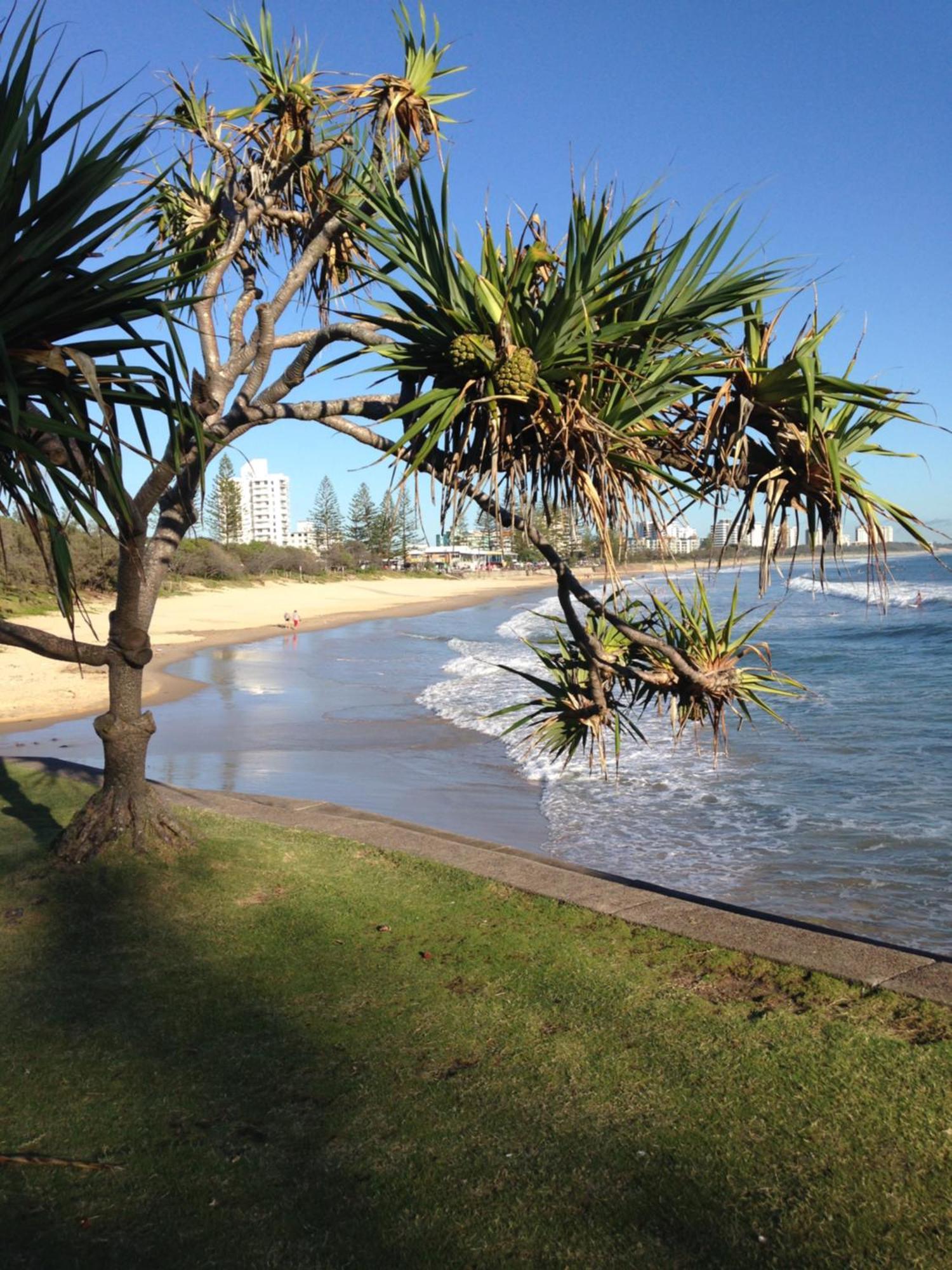 Grand Palais Boolarong Beachside Apartments Alexandra Headland Exterior foto